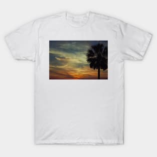 Florida sunset with Palm Tree T-Shirt